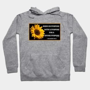 Born On Purpose! Hoodie